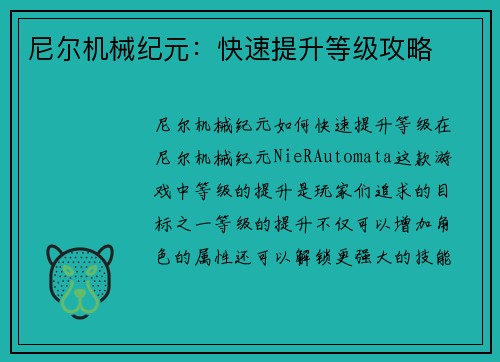 尼尔机械纪元：快速提升等级攻略