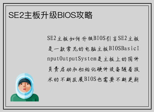 SE2主板升级BIOS攻略